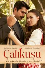 Calikusu VOSTFR